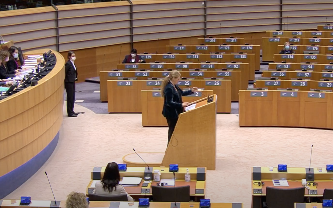 L&rsquo;espace européen de l&rsquo;éducation