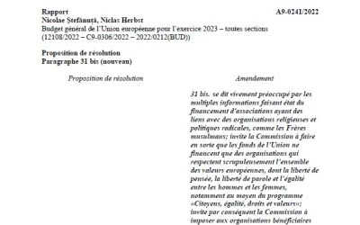 Le Parlement européen s&rsquo;oppose (finalement) au financement de campagnes pro-hijab par l&rsquo;UE