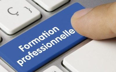 La réforme de la formation professionnelle, clef de voûte d’une révolution sociétale majeure