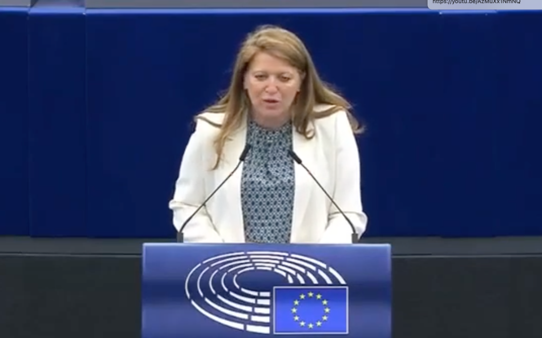 Lancement de la directive SLAPP : protection des journalistes, lanceurs d&rsquo;alertes et universitaires