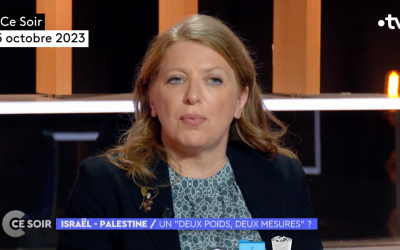 Israël, Palestine, « un deux poids, deux mesures » ? (Interview TV)